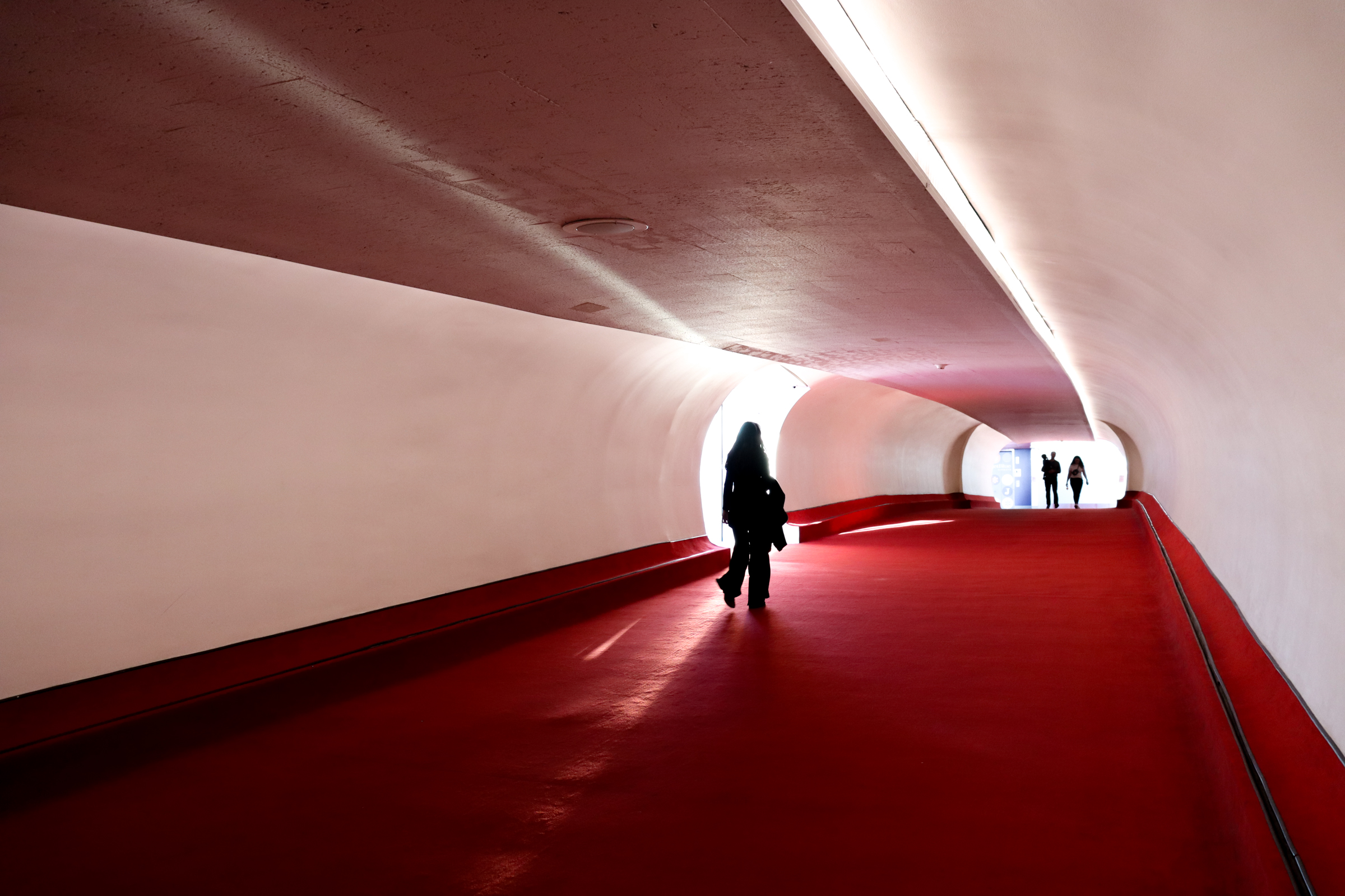 Digital photograph 8 by Sierra Seetin