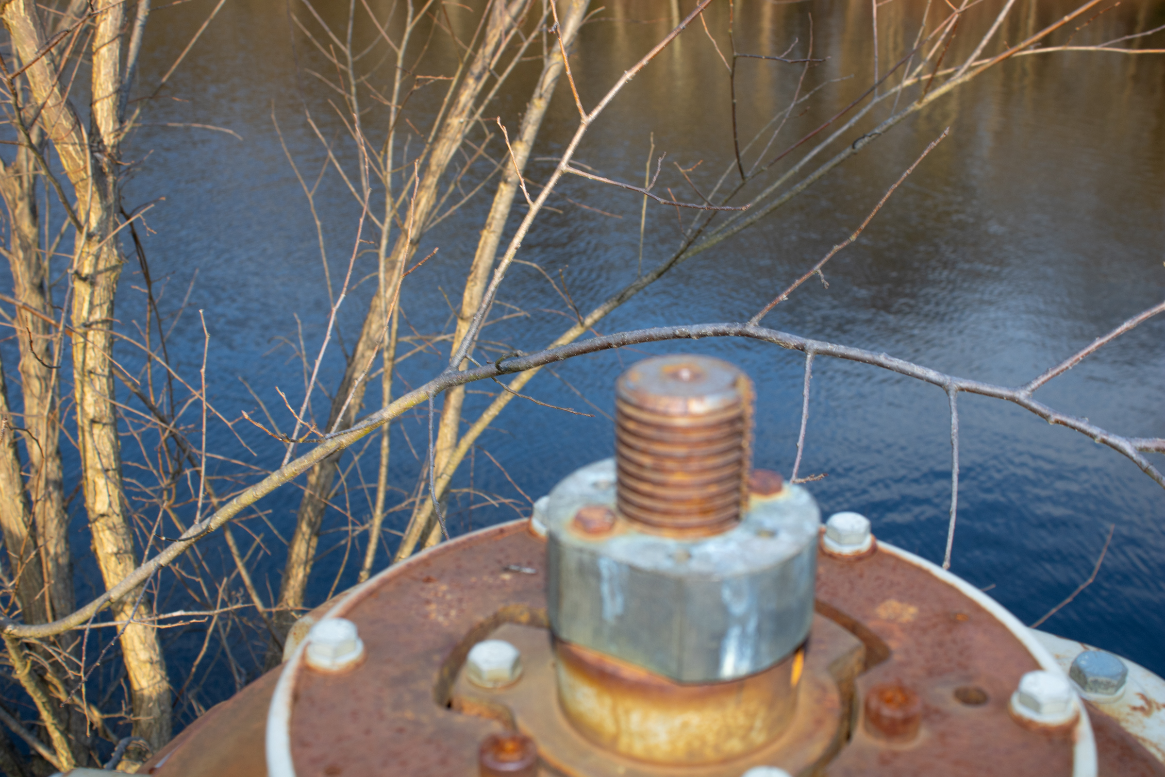 Digital photograph 5 by Sierra Seetin