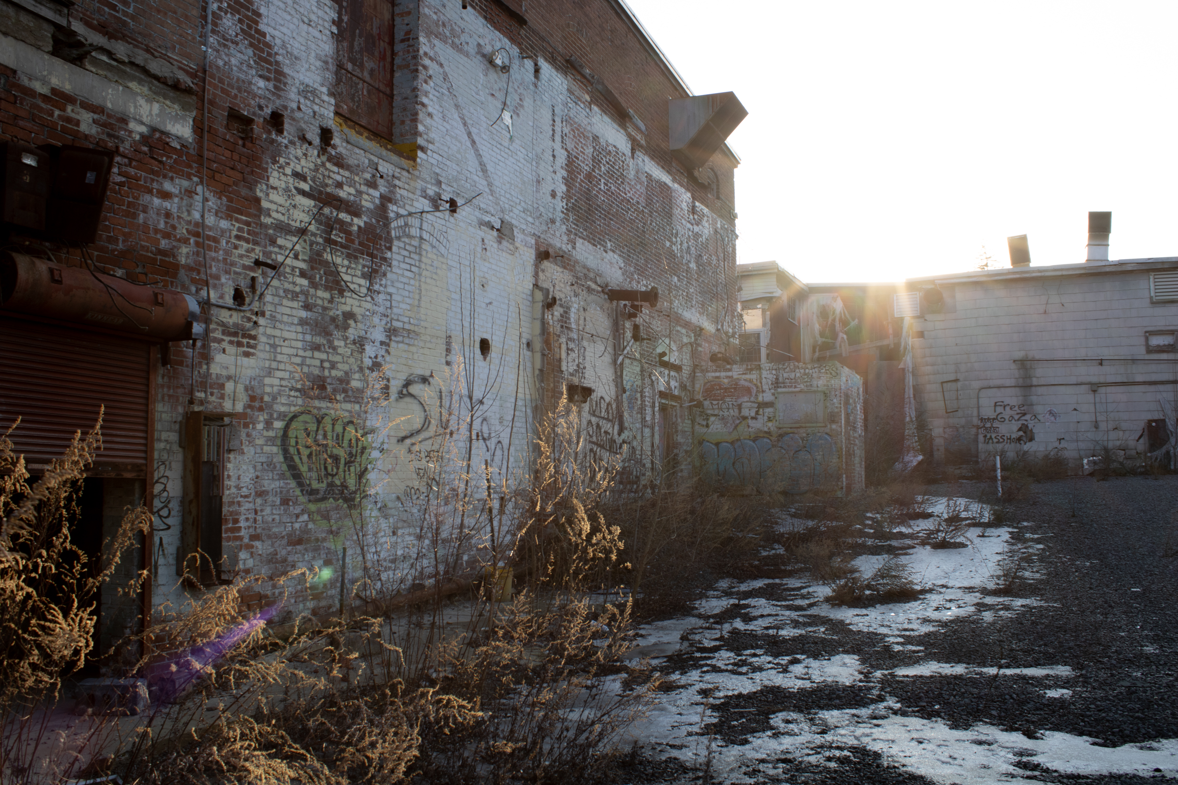 Digital photograph 6 by Sierra Seetin