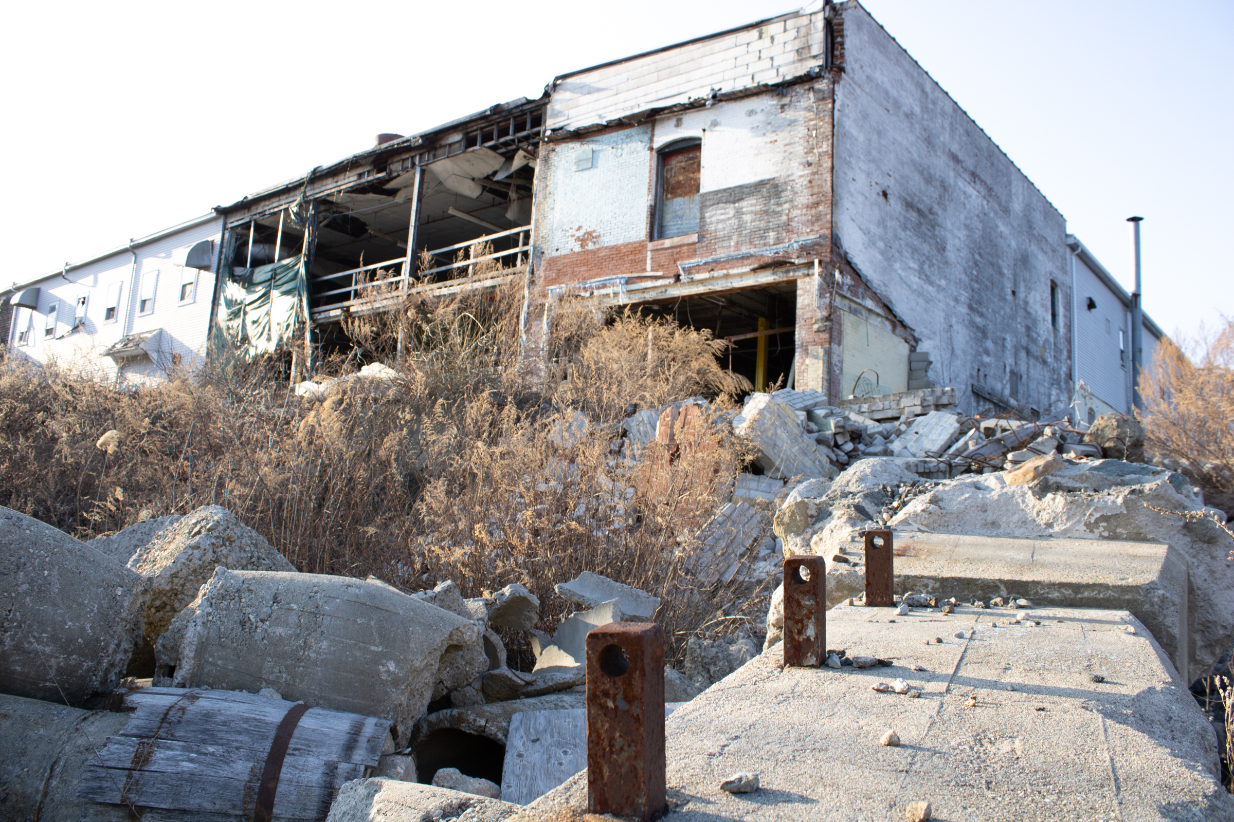 Digital photograph 7 by Sierra Seetin