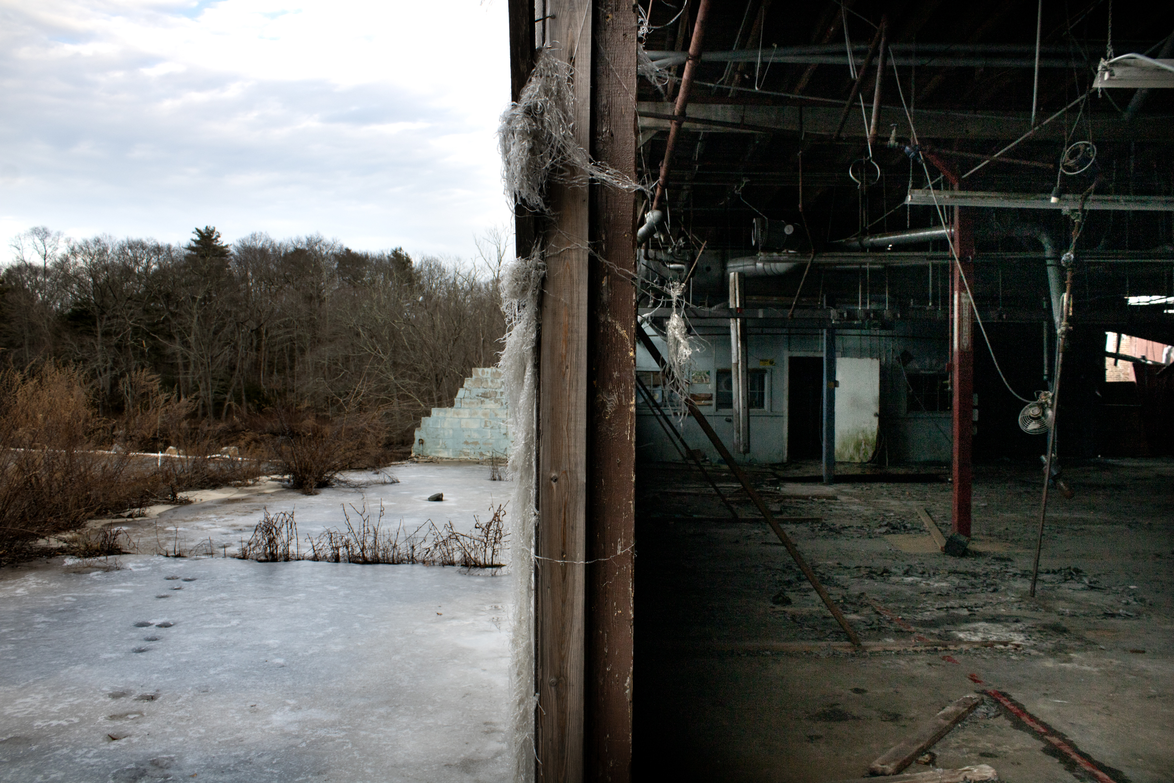 Digital photograph 2 by Sierra Seetin