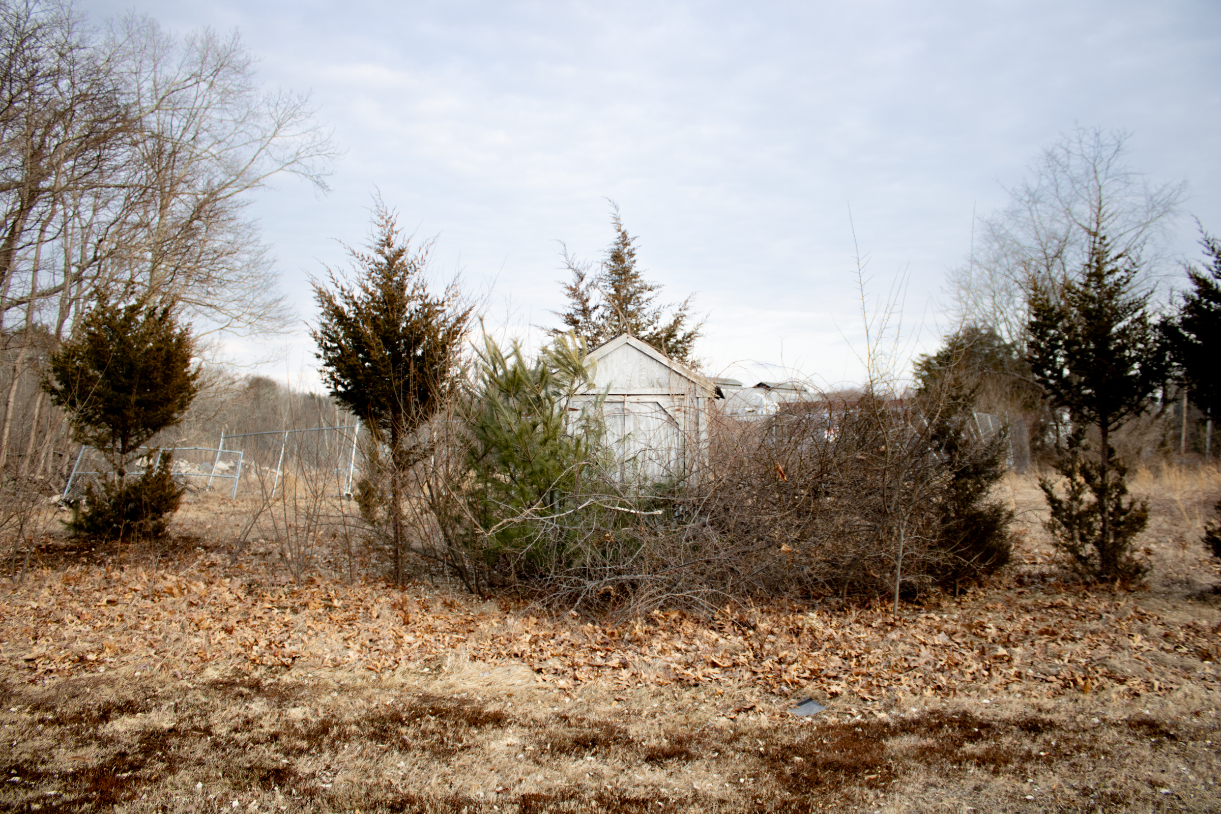 Digital photograph 3 by Sierra Seetin