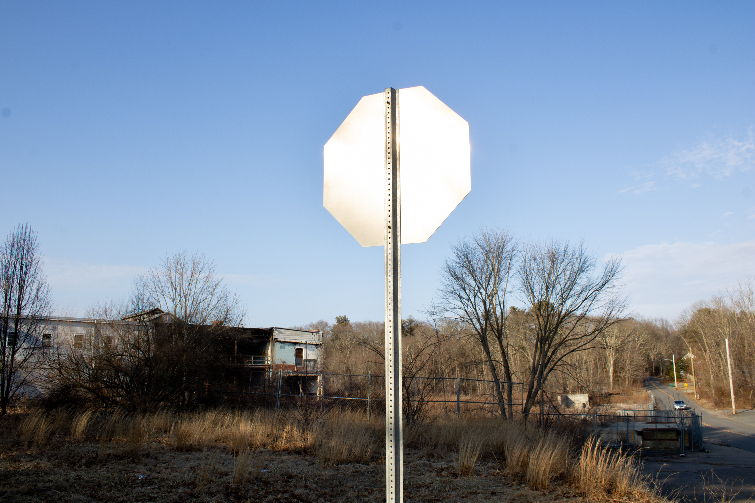 Digital photograph 1 by Sierra Seetin