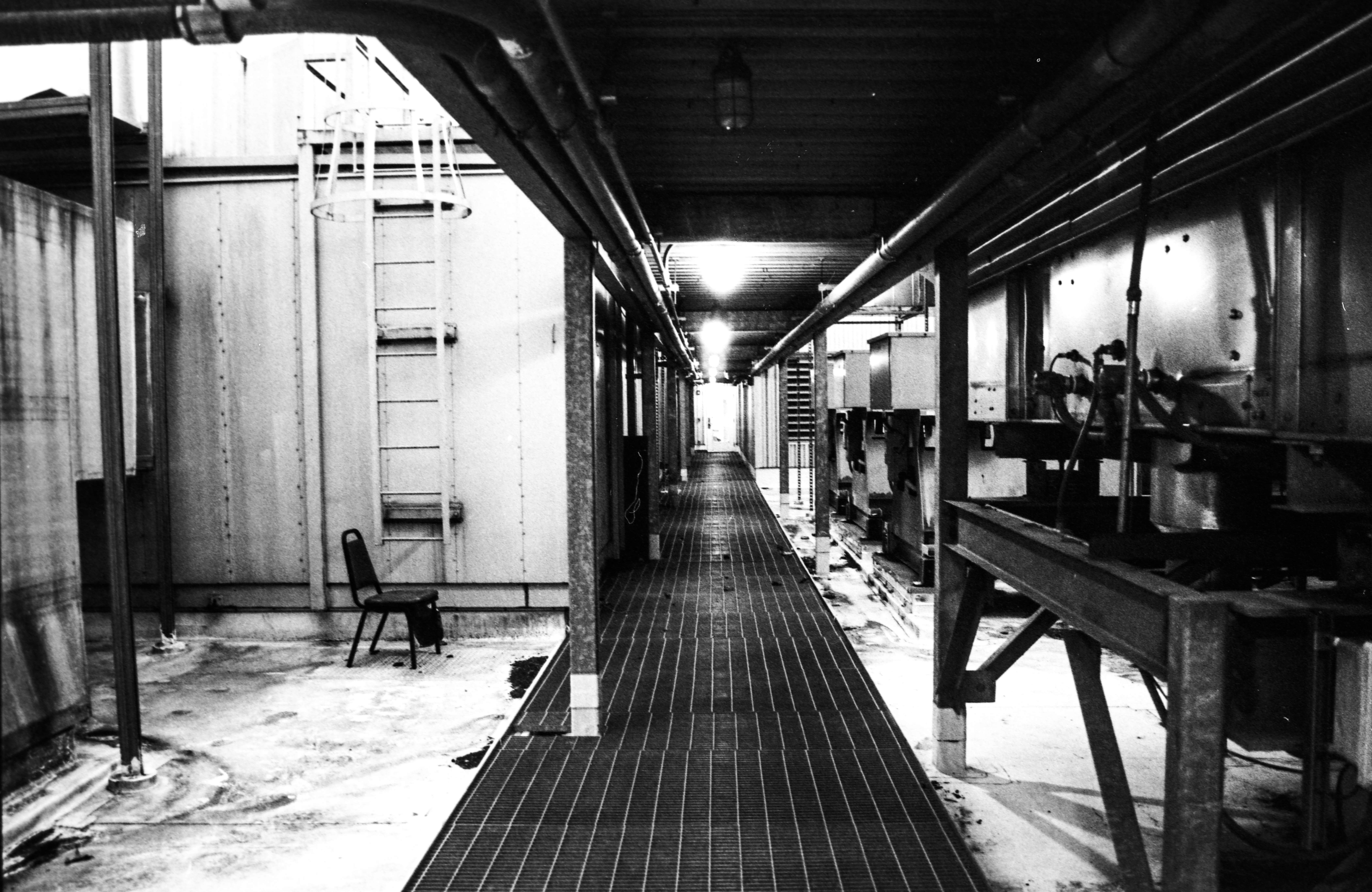 Darkroom photograph 3 by Sierra Seetin