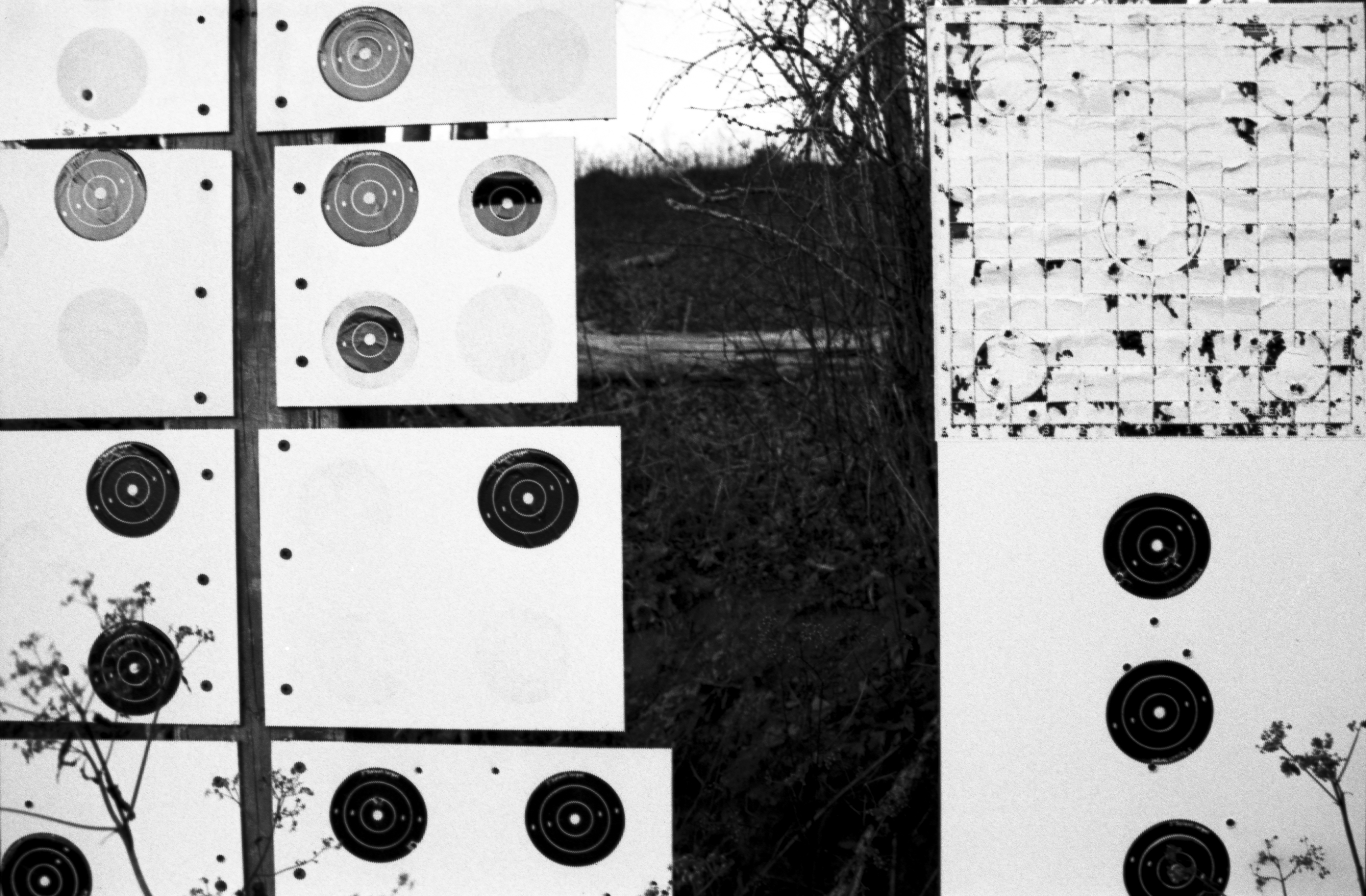 Darkroom photograph 4 by Sierra Seetin