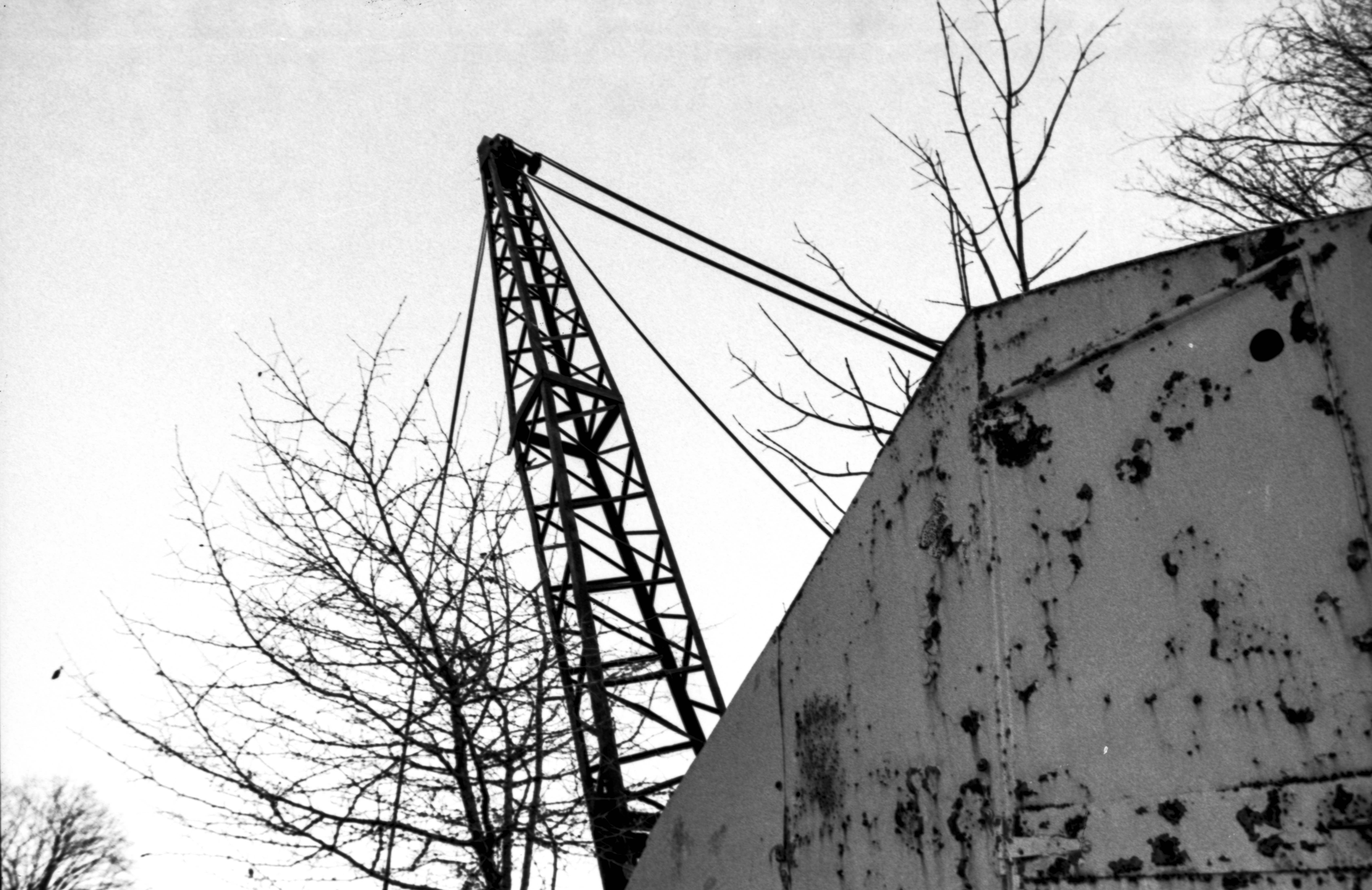 Darkroom photograph 5 by Sierra Seetin