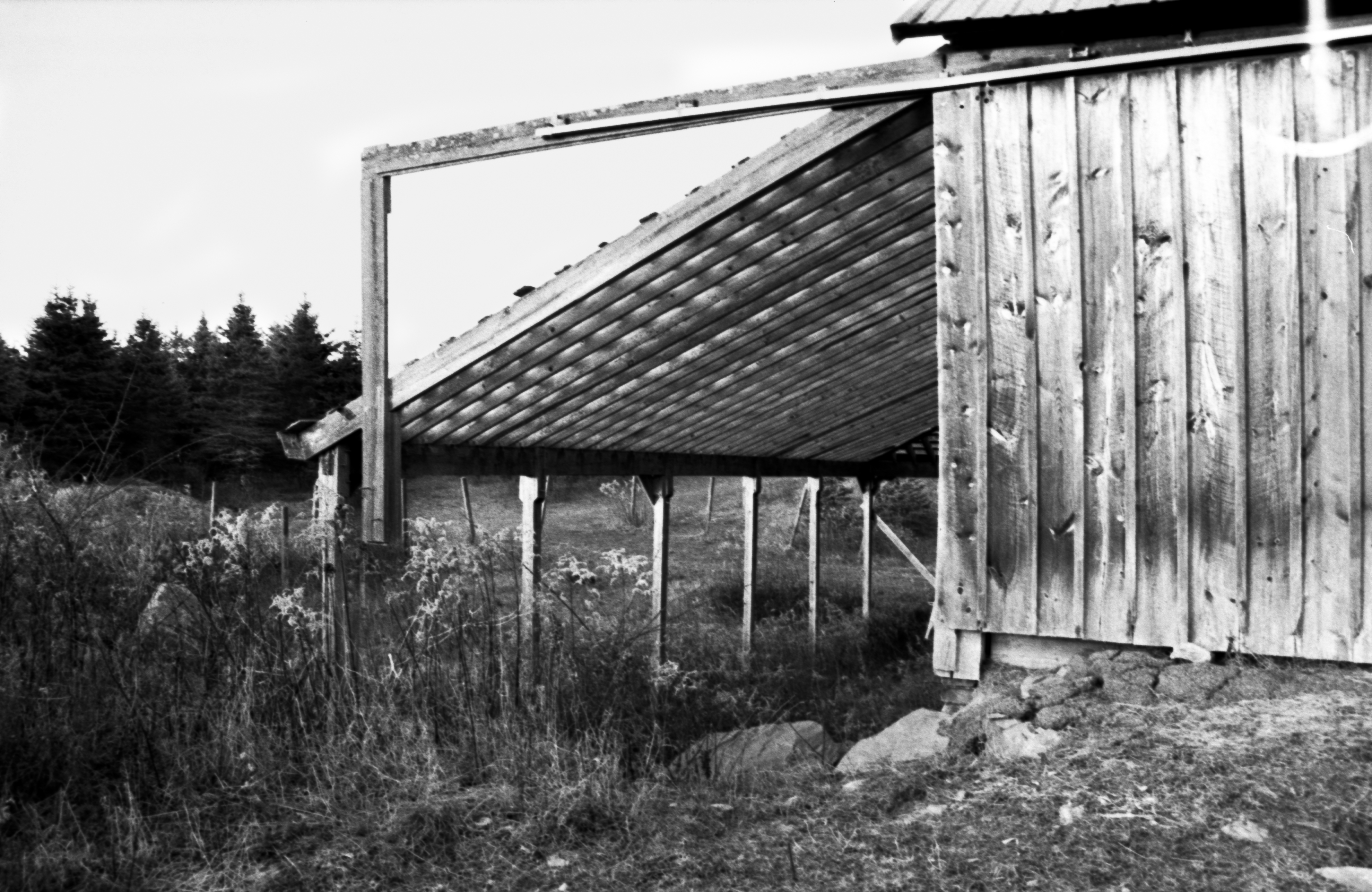 Darkroom photograph 2 by Sierra Seetin